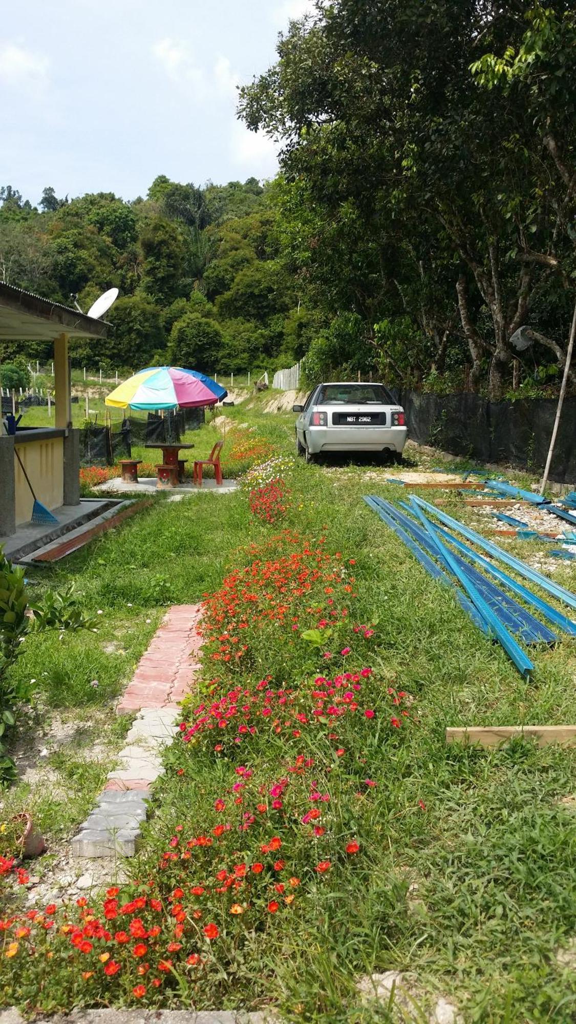 Kuntum Cottage Bed & Breakfast Kampung Tanjung Ipoh Bagian luar foto